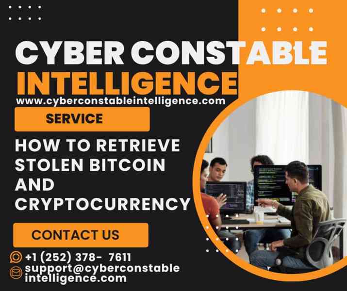 HIRE CYBER CONSTABLE INTELLIGENCE TO TRACK STOLEN BITCOIN - foto 3