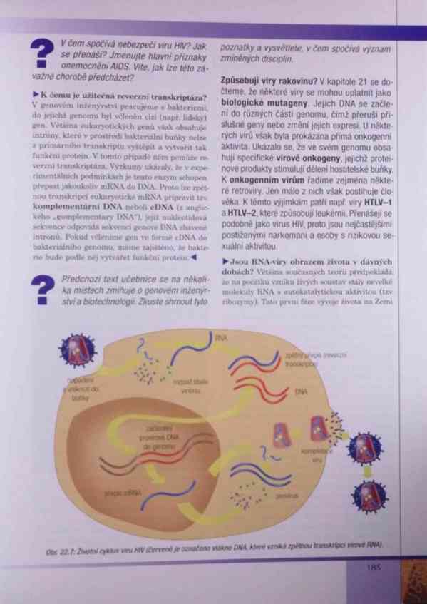 Genetika – Kočárek v PDF - foto 18