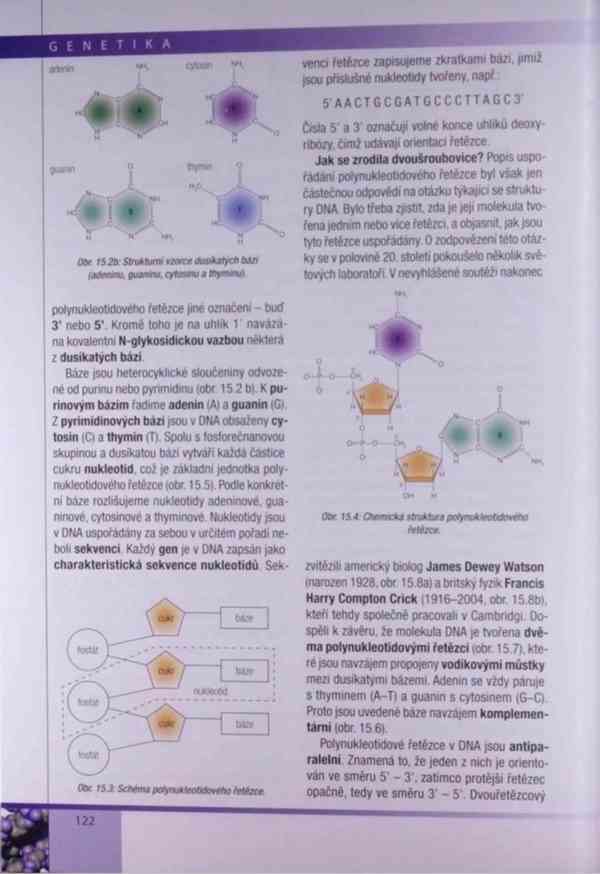 Genetika – Kočárek v PDF - foto 10