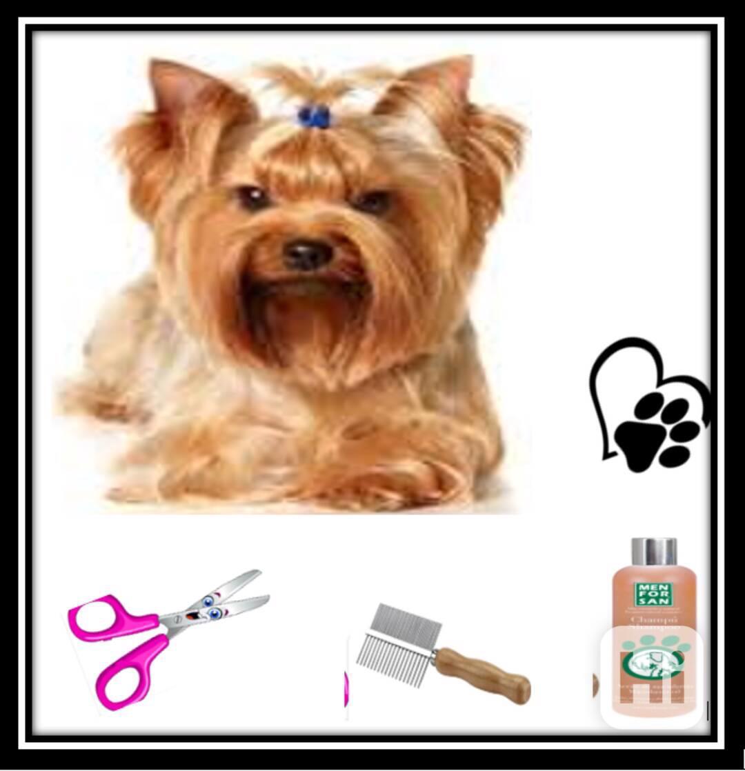 péče pro pejsky - foto 1