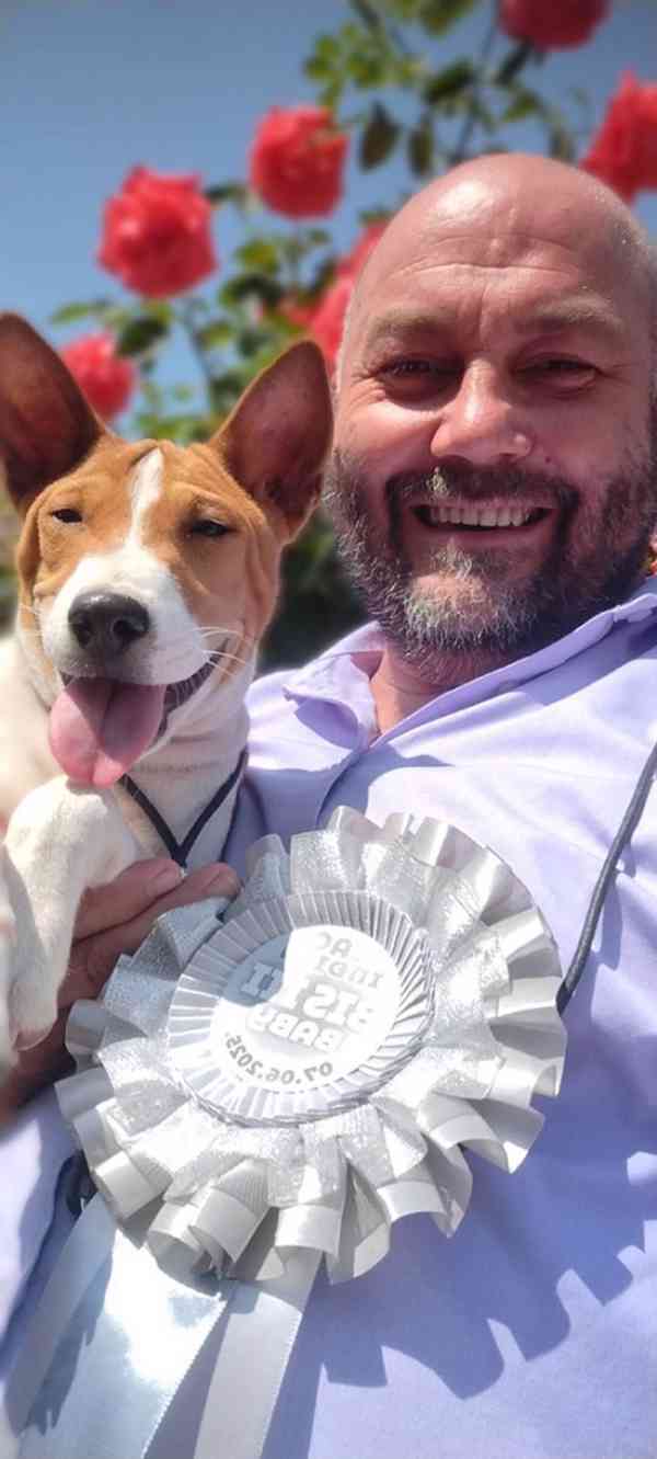 Štěňata BASENJI - foto 10