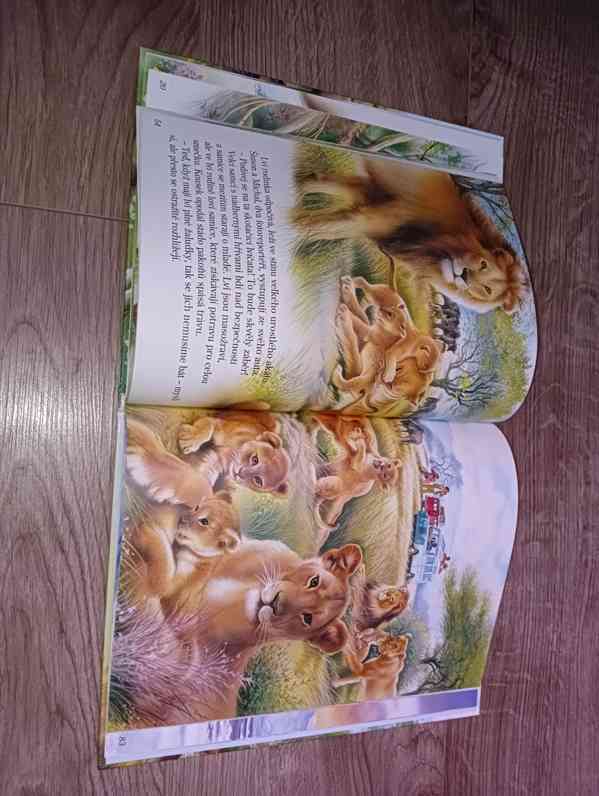 dětské knížky - foto 13