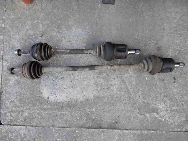 Poloosa Felicia - foto 2