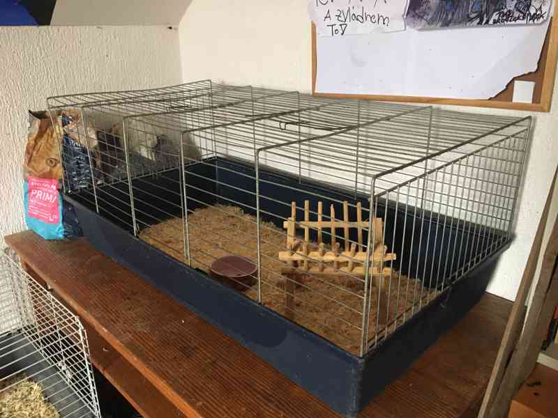 Králík s klecí - foto 5