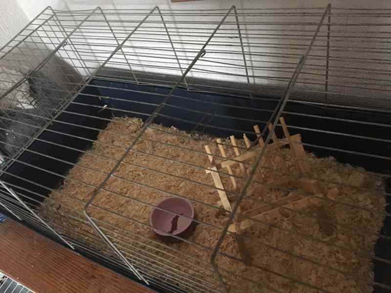 Králík s klecí - foto 4
