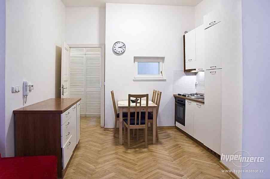 milenecký azyl praha - foto 3