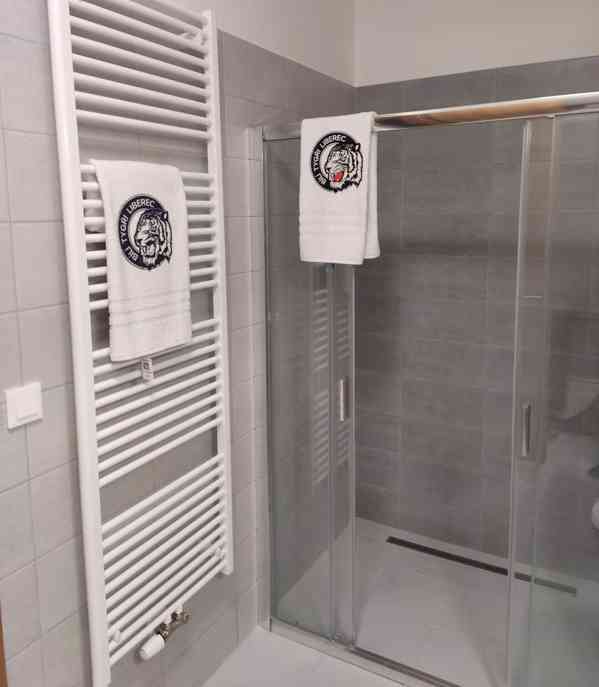 Podnájem 1+kk, 40m2+sklep (LBC - Františkov, ul. Švermova) - foto 5