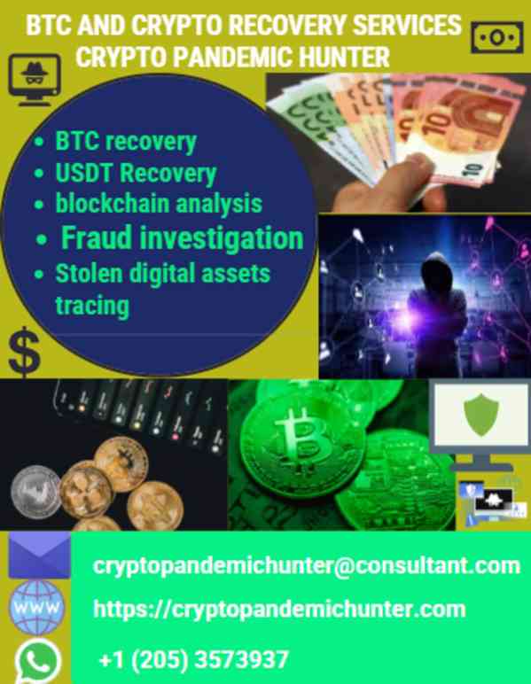 DIGITAL ASSETS RECOVERY WITH CRYPTO PANDEMIC HUNTER - foto 2