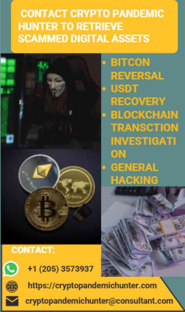 DIGITAL ASSETS RECOVERY WITH CRYPTO PANDEMIC HUNTER - foto 3