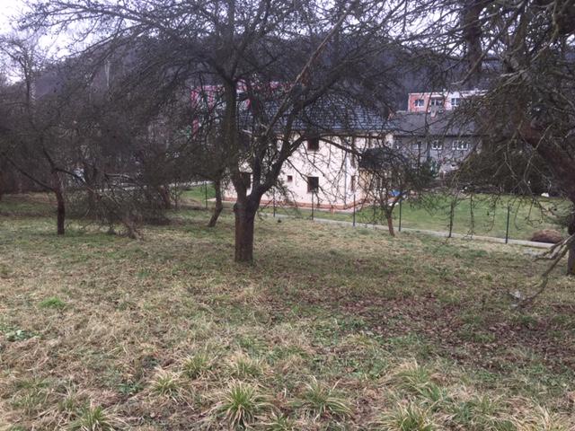Pavel  - foto 5