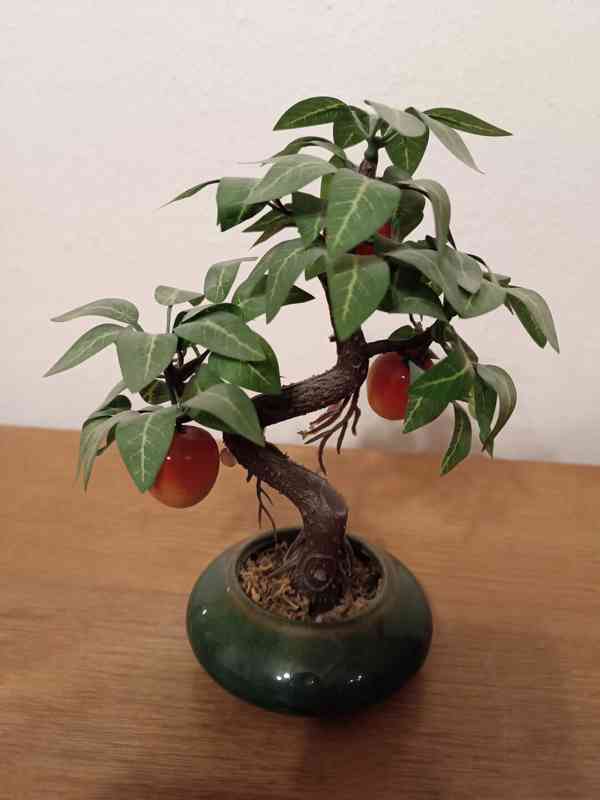 Dva stromečky a váza - foto 5