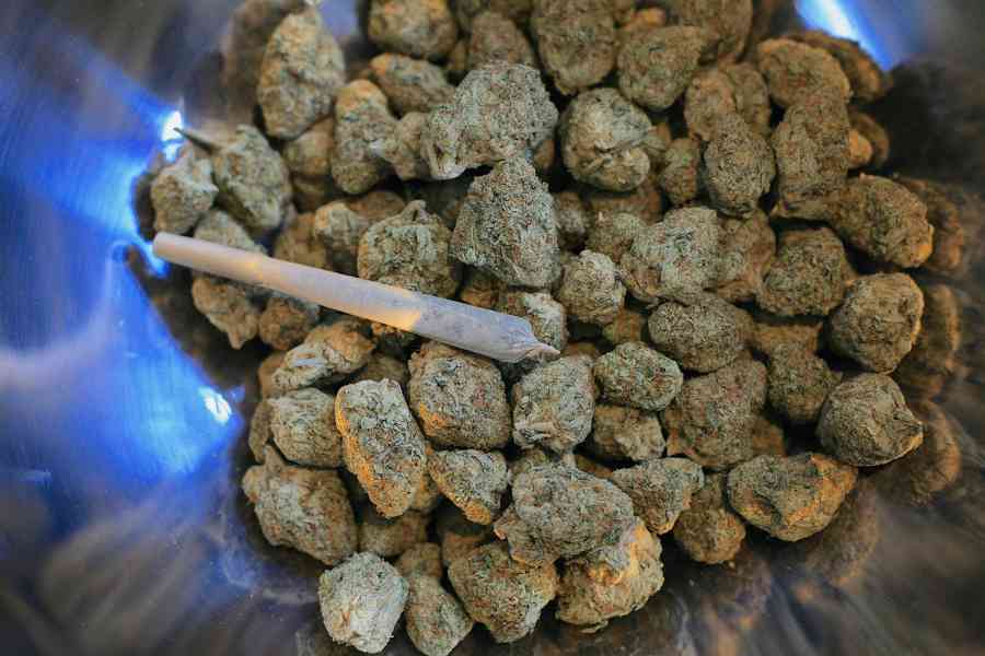 Whatapp +1 4233302391 buy weed online near me Oslo Norway - foto 2