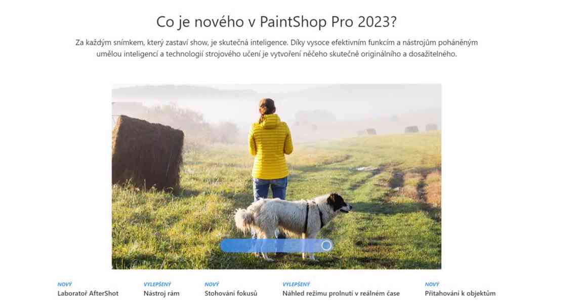 PaintShop Pro 2023 Ultimate - foto 13