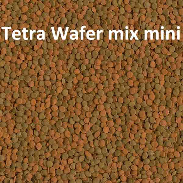 TETRA značkové krmení pro akvarijní rybky, krmivo - foto 7