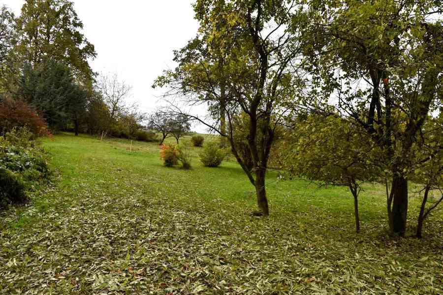 Janov - zemědělská usedlost se stodolou a pozemky 11 612 m2 - foto 10