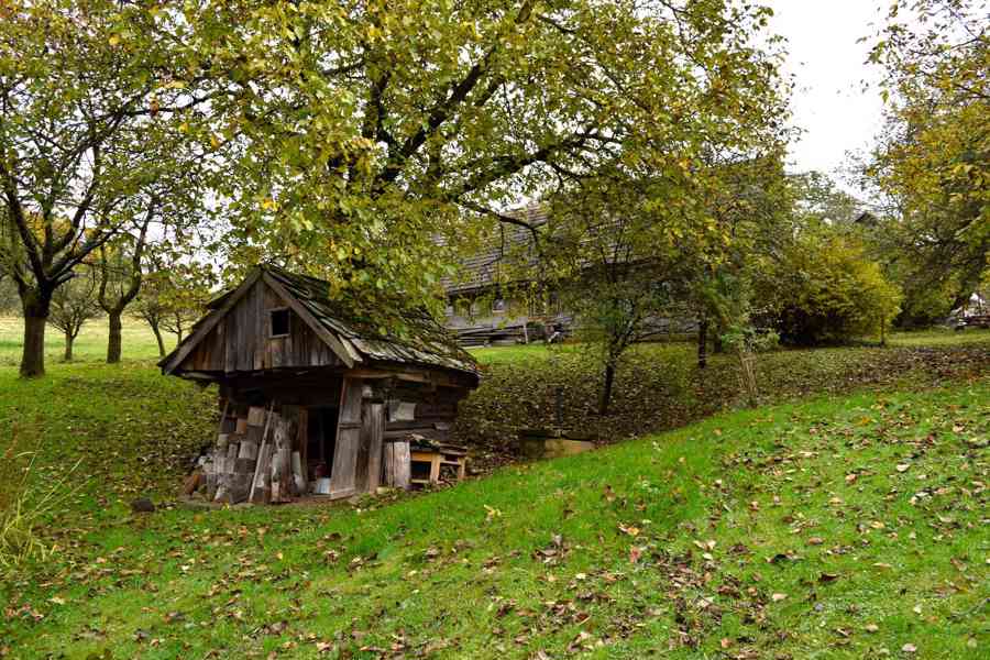 Janov - zemědělská usedlost se stodolou a pozemky 11 612 m2 - foto 13
