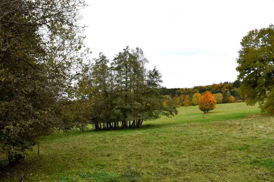Janov - zemědělská usedlost se stodolou a pozemky 11 612 m2 - foto 9