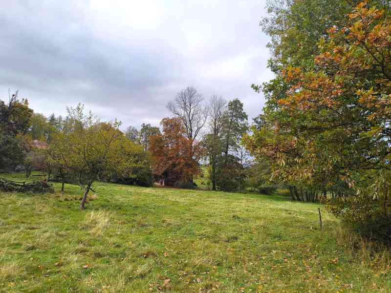 Janov - zemědělská usedlost se stodolou a pozemky 11 612 m2 - foto 12