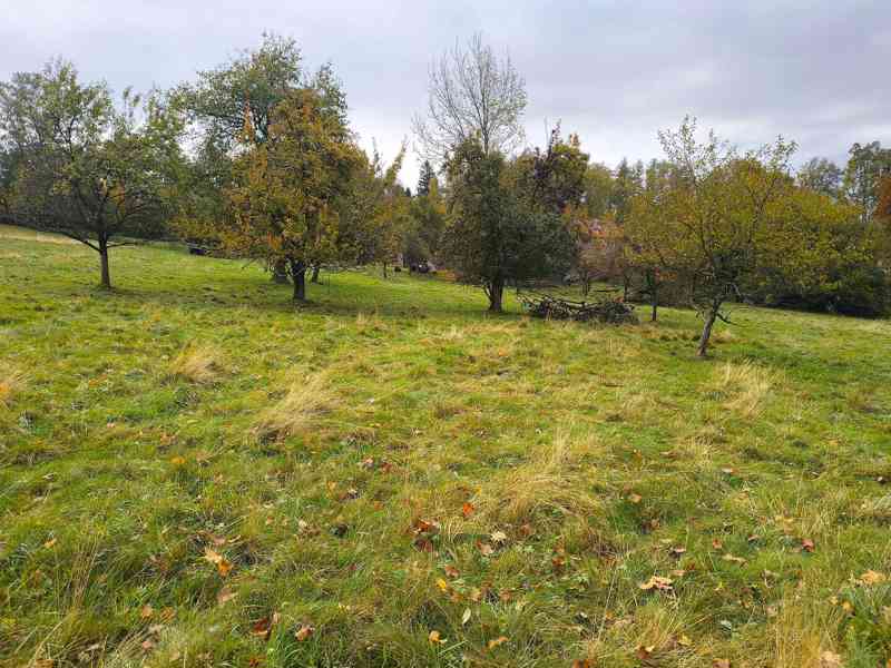 Janov - zemědělská usedlost se stodolou a pozemky 11 612 m2 - foto 11