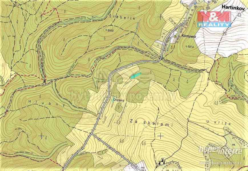 Prodej lesa, 420 m?, Vysoká u Jevíčka - foto 5