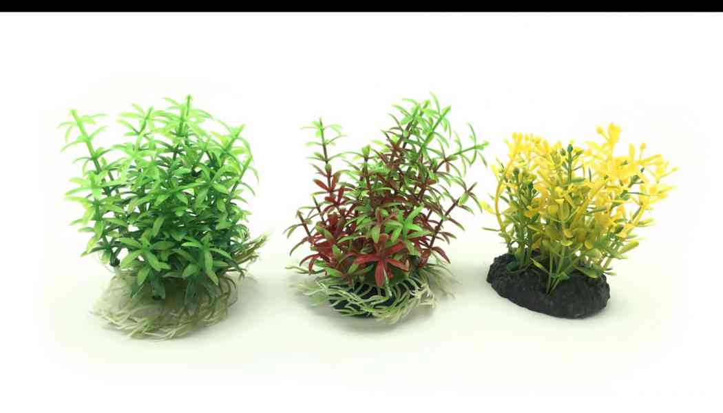 Prodám kompletně vybavené akvárium – 60 l - foto 3